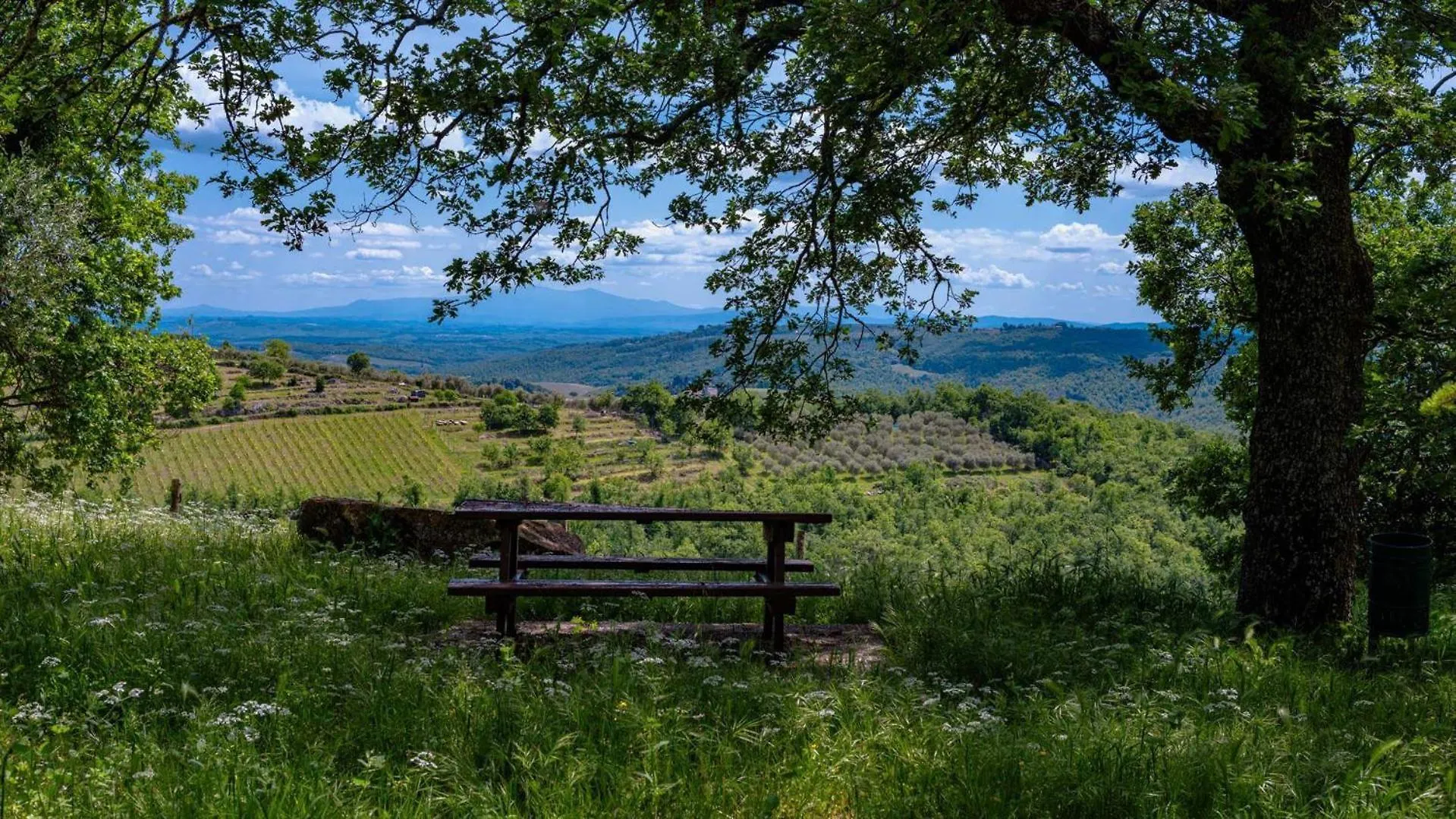 Casa Allegra Gaiole in Chianti